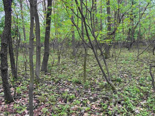 .85 acres Lorrel Street, MOSINEE, WI, 54455-1275 | Card Image