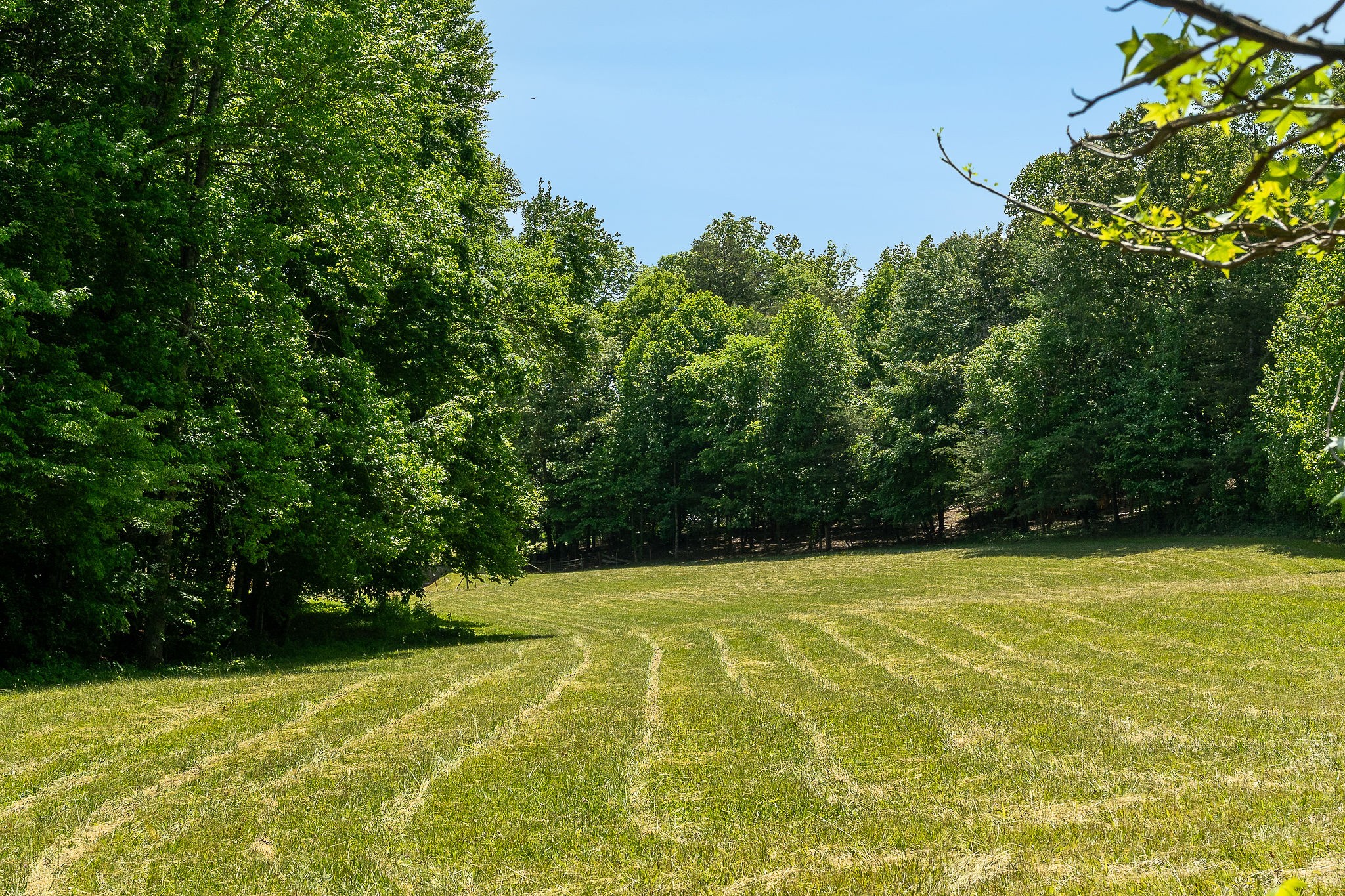 Farm in Hilham 2