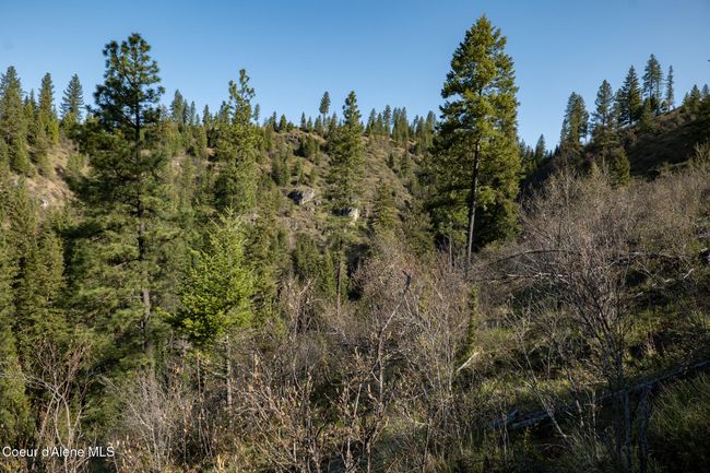 262 North Side Road, Home with 0 bedrooms, 0 bathrooms and null parking in Calder ID | Image 50