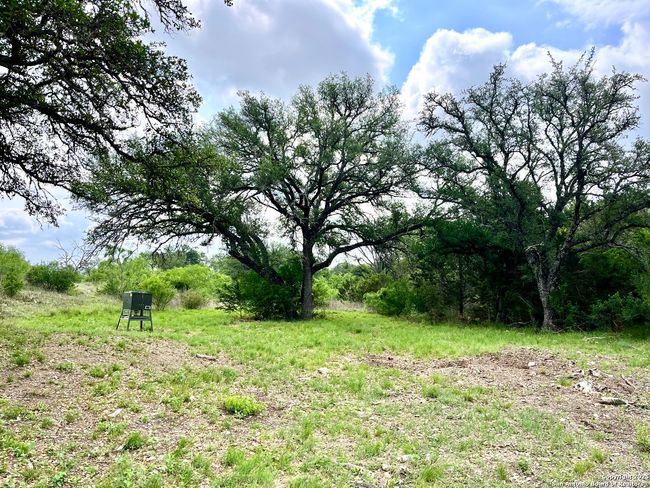 1155 Razor Ridge Rd, Home with 3 bedrooms, 2 bathrooms and null parking in Junction TX | Image 29