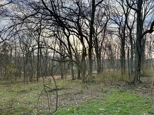 2980 Swindell Hollow Rd, Lebanon, TN, 37090 | Card Image