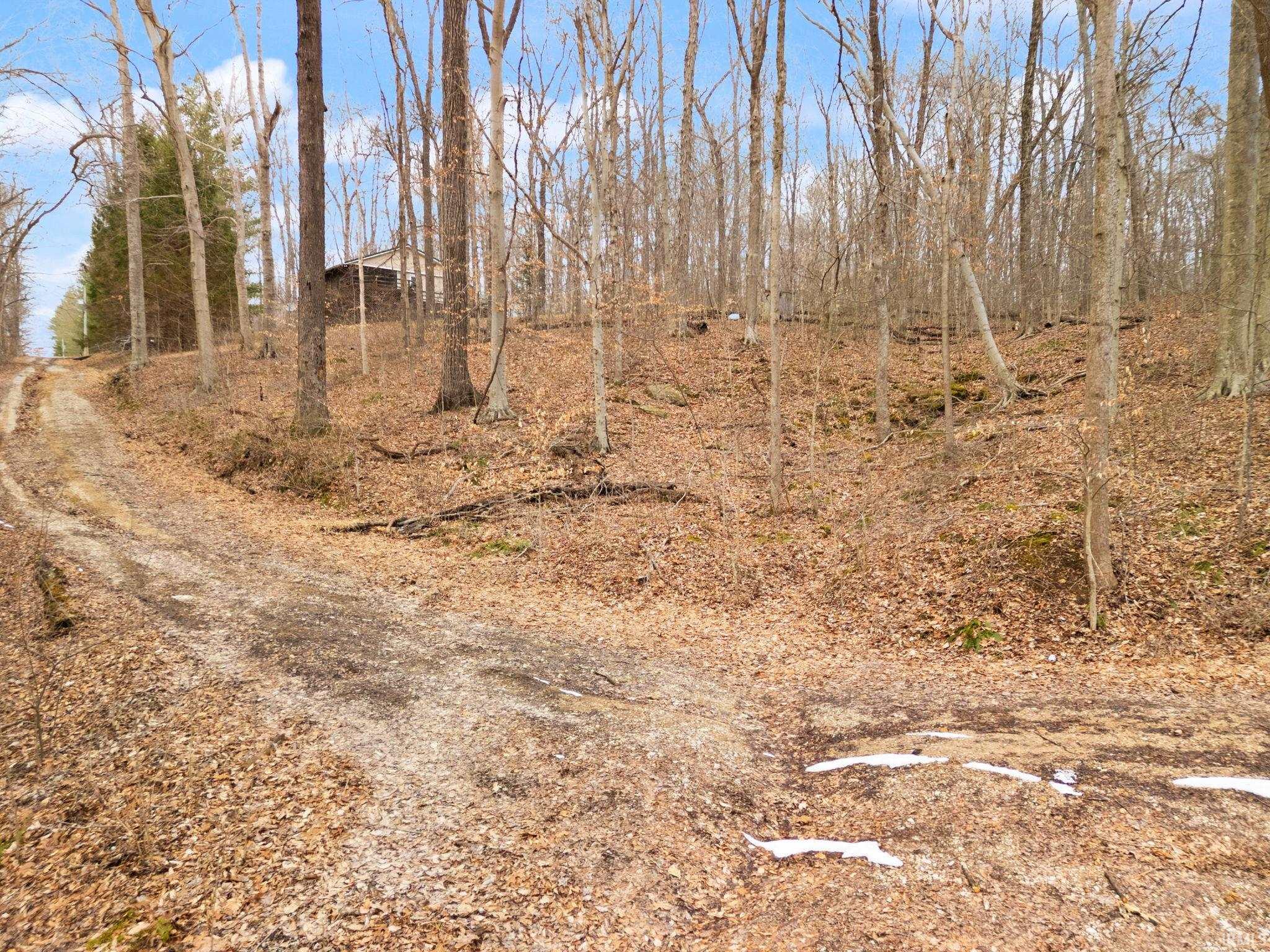 Land in Paoli 3