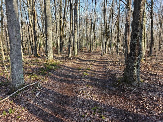 10830 3 Mile Rd, Home with 0 bedrooms, 0 bathrooms and null parking in Branch MI | Image 38