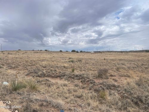19 County Road 6012, Saint Johns, AZ, 85936 | Card Image