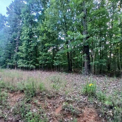 Tr. 2 Raven Cliff Rd, Talking Rock, GA, 30175-6325 | Card Image