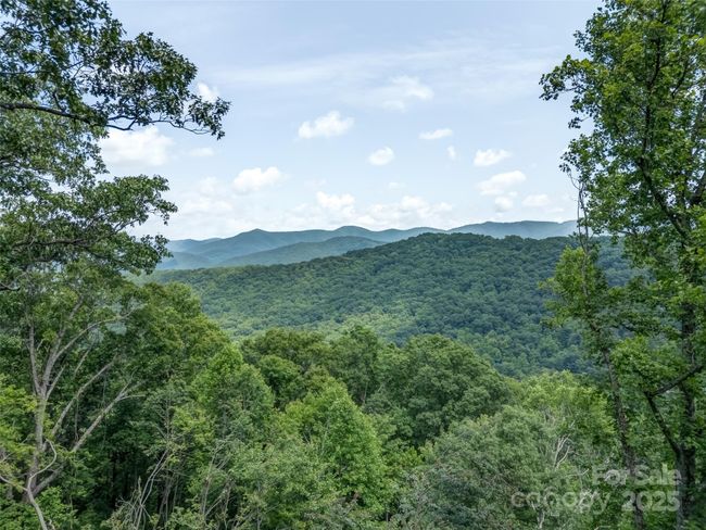 000 White Rock Branch Rd, Home with 0 bedrooms, 0 bathrooms and null parking in Candler NC | Image 13