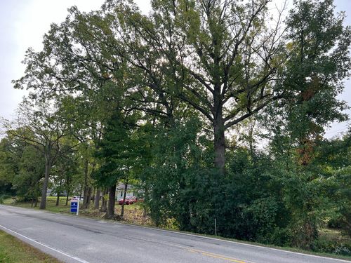 0 Tienken Rd, Auburn Hills, MI, 48326 | Card Image