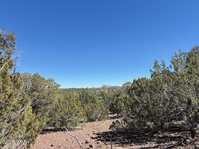 Land in Vernon 2