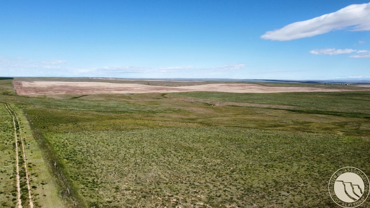 Land in Molt 2