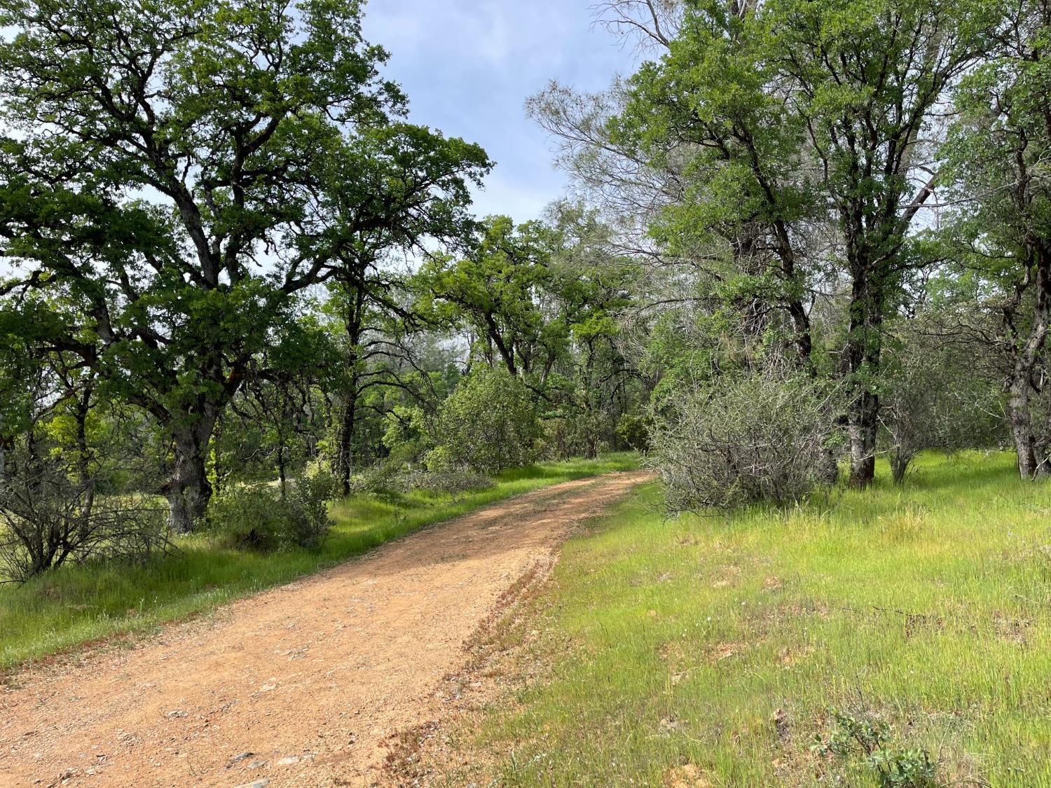 Land in North San Juan 3