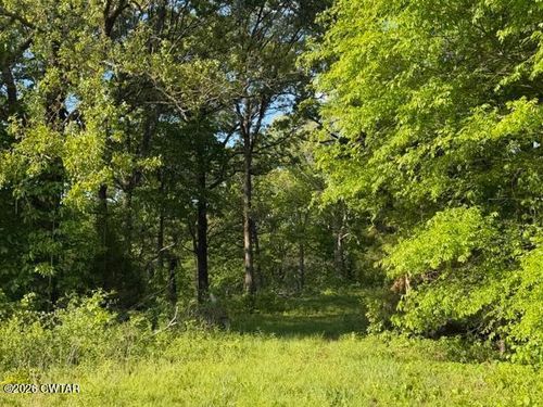 0 Mcbride Cemetery Rd, Sardis, TN, 38371 | Card Image