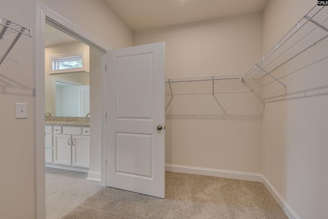 363 Chapin Place Way, House other with 4 bedrooms, 3 bathrooms and null parking in Chapin SC | Image 16