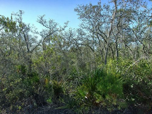 10566 Interlacher Dr, SEBRING, FL, 33875 | Card Image