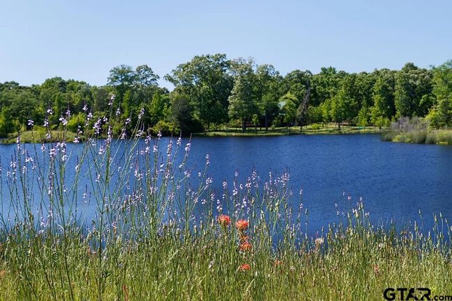 19 Lakeside Dr, Home with 0 bedrooms, 0 bathrooms and null parking in Montalba TX | Image 6