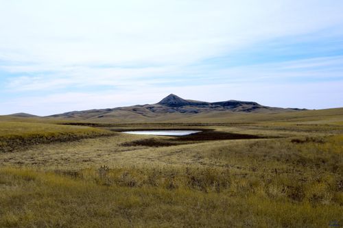 Parcel #41 Cisco Ln, Caputa, SD, 57725 | Card Image