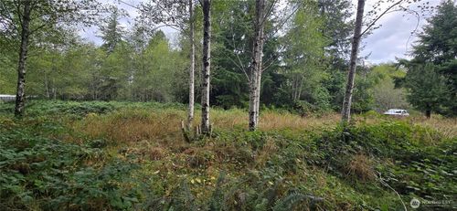 1351 Satsop Rd W, Montesano, WA, 98563-9330 | Card Image