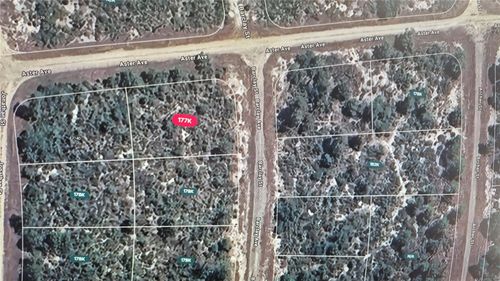 3138 Aster Ave, Lake Placid, FL, 33852 | Card Image