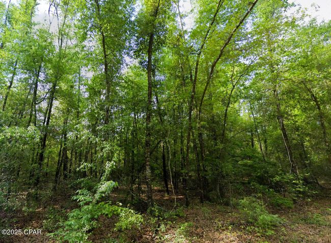 0 Messer Rd, Home with 0 bedrooms, 0 bathrooms and null parking in Sneads FL | Image 7