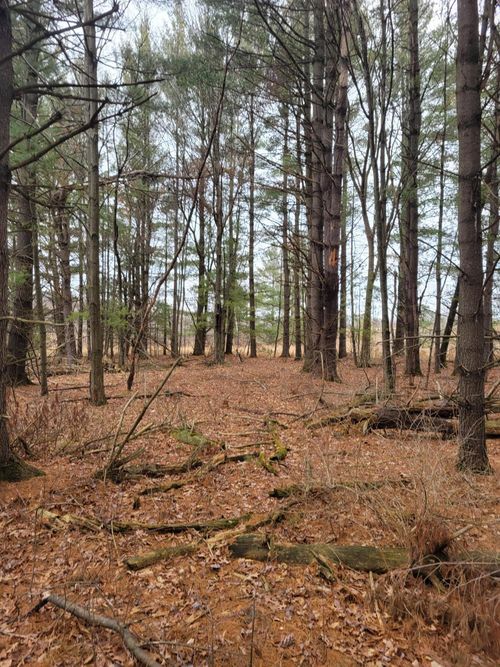 2 Us Highway 12, Humbird, WI, 54746 | Card Image