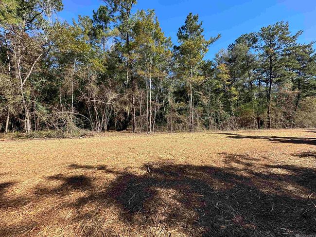 23483 Heritage Acres Ln, Home with 0 bedrooms, 0 bathrooms and null parking in Robert LA | Image 12