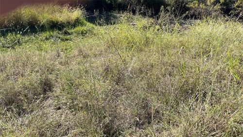 29 Brook Valley Drive, May, TX, 76857 | Card Image