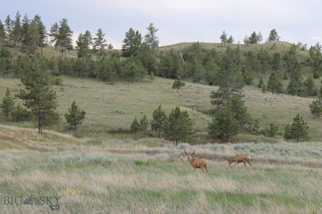 SC-28 - TBD Lone Rock Canyon Lane, Home with 0 bedrooms, 0 bathrooms and null parking in Hysham MT | Image 38