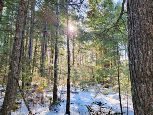 27 Trout Brook Road, Mariaville, ME, 04605 | Card Image