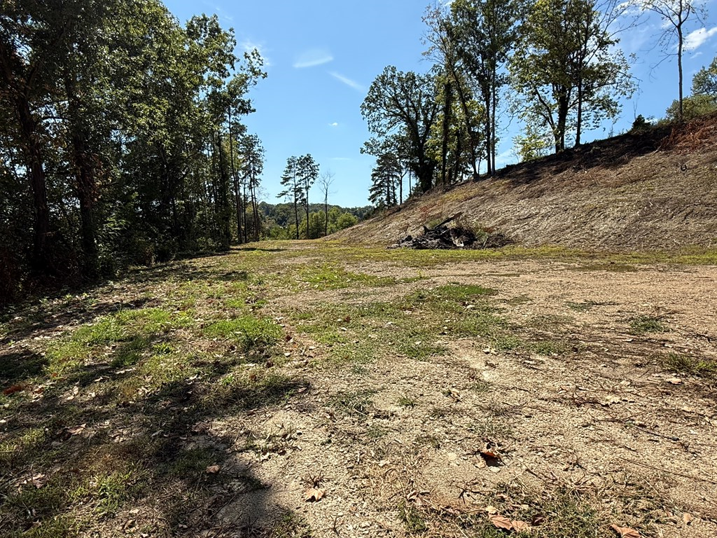 Land in Louisa 2