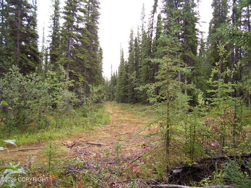 L20 B2 Becky Lane, Copper Center, AK, 99573 | Card Image
