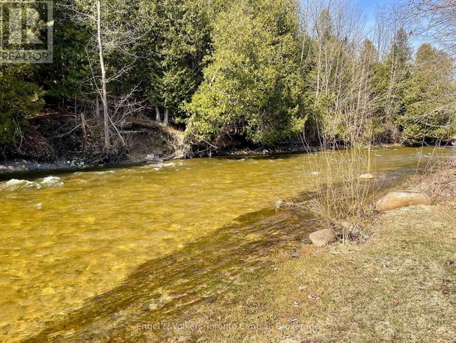 7237 Nottawasaga 6/7 Sideroad, House other with 4 bedrooms, 1 bathrooms and 7 parking in Clearview (Creemore) ON | Image 30