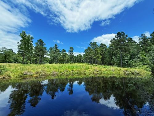 TBD F County Road 298, Oakwood, TX, 75855 | Card Image