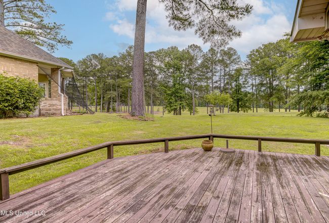 Back Deck 2 | Image 47