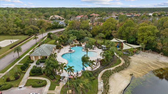 10880 Cory Lake Dr, House other with 3 bedrooms, 2 bathrooms and null parking in TAMPA FL | Image 58