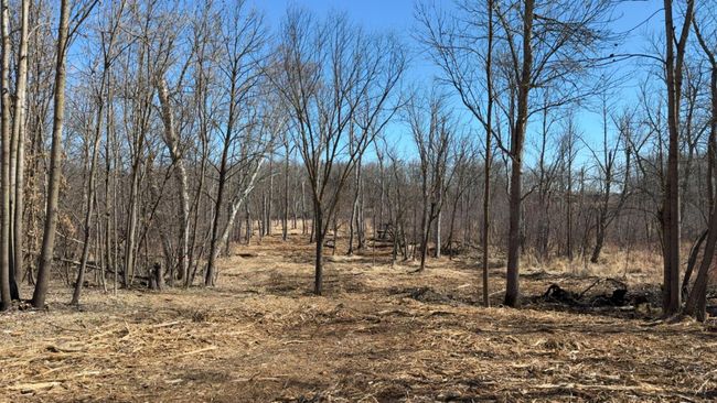 39 Sandy Ln, Home with 0 bedrooms, 0 bathrooms and null parking in Perham MN | Image 13