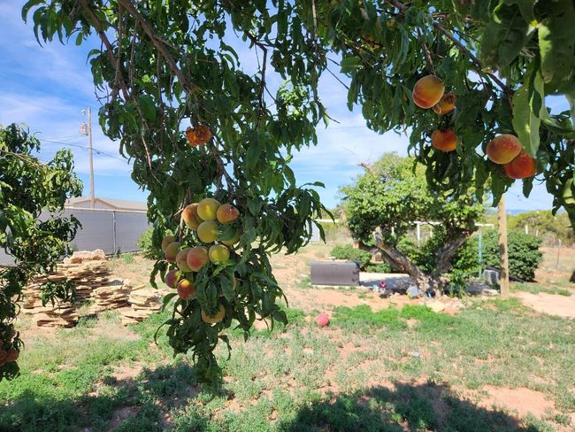 19 Pinon Rd, House other with 3 bedrooms, 2 bathrooms and null parking in Edgewood NM | Image 43