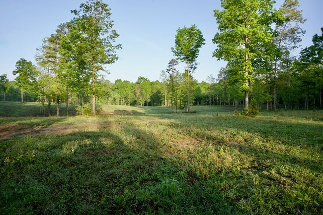 40.46AC Barker Cove Loop, Home with 1 bedrooms, 1 bathrooms and null parking in Palmer TN | Image 13