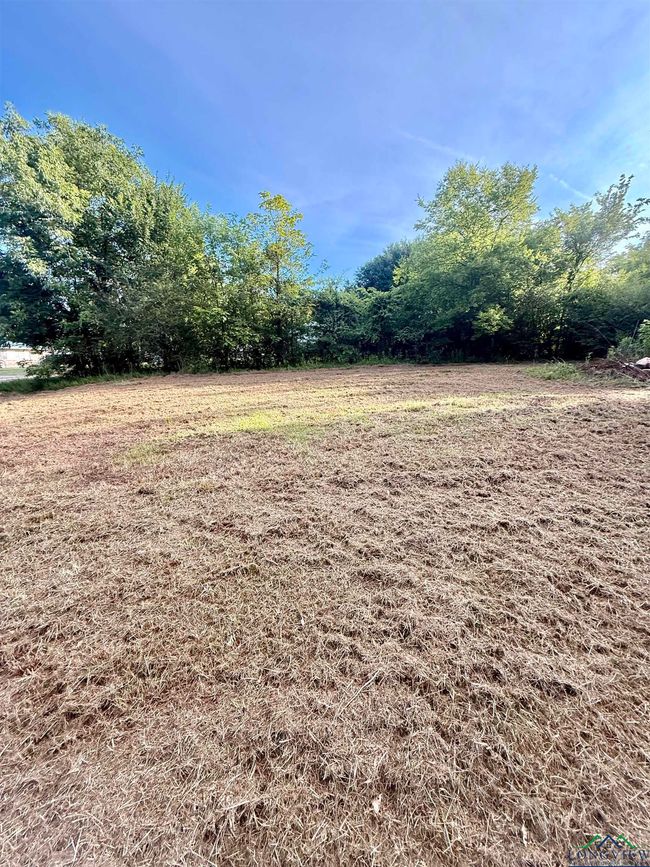 118 Nolte Dr, House other with 2 bedrooms, 1 bathrooms and null parking in Naples TX | Image 17
