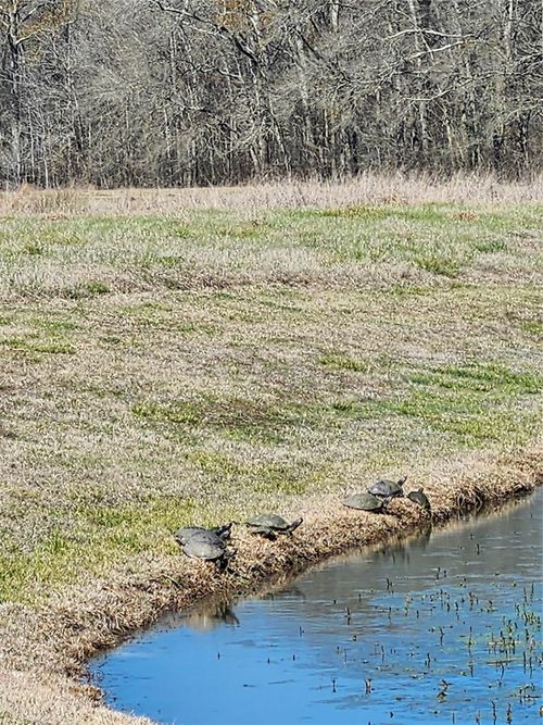 TBD Center Dr, Cleveland, TX, 77327 | Card Image