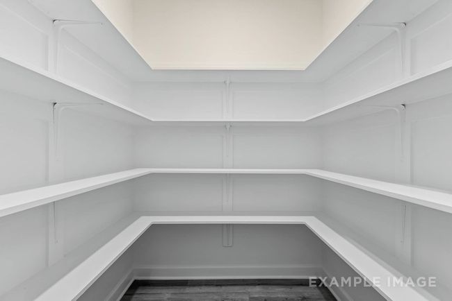 EXAMPLE IMAGE | Image 15