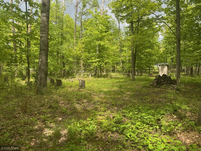 Adamek Lot - 3.jpeg | Image 5