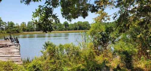 446 Us Highway 98, APALACHICOLA, FL, 32320-1239 | Card Image