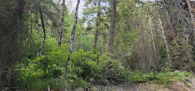 1555 Comstock Mine Rd, Home with 0 bedrooms, 0 bathrooms and null parking in Colville WA | Image 15