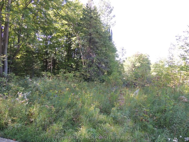 LT 35 Highland Dr, Home with 0 bedrooms, 0 bathrooms and null parking in Markdale ON | Image 9