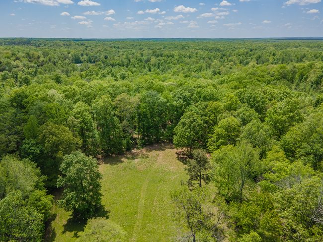 2724 She Boss Rd, House other with 2 bedrooms, 2 bathrooms and 4 parking in Duck River TN | Image 30