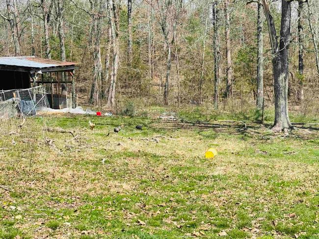 3912 Ar 354 Hwy, House other with 3 bedrooms, 2 bathrooms and null parking in Oxford AR | Image 11