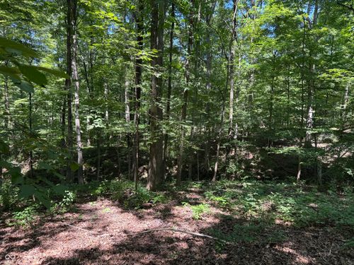 X Fox Ct, Nineveh, IN, 46164 | Card Image