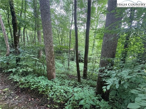 TBD Clubhouse Dr, Banner Elk, NC, 28604 | Card Image