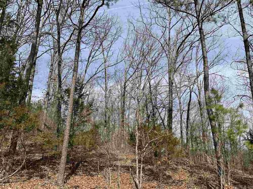 Lot 68 Lower Ridge Circle, Edgemont, AR, 72044 | Card Image