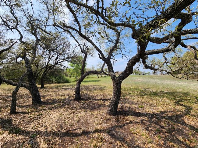 212 Oak Glen Ln, Home with 0 bedrooms, 0 bathrooms and null parking in Briggs TX | Image 4
