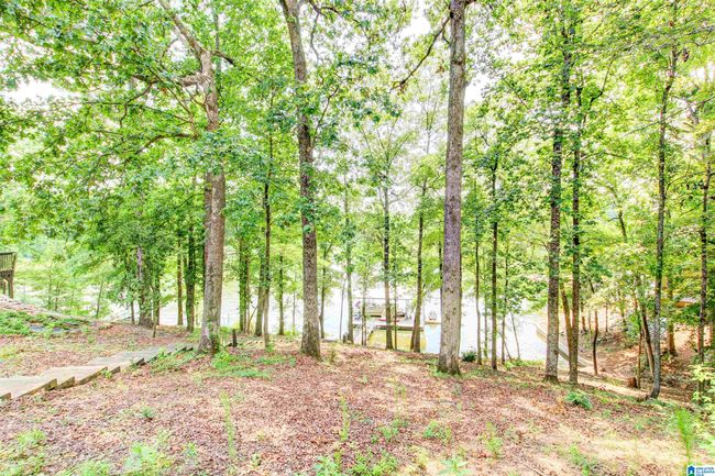 358 Muffit Dr, House other with 5 bedrooms, 4 bathrooms and null parking in Wedowee AL | Image 31